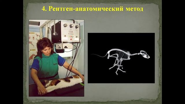 Клин. анатомия: ЛПЗ-1