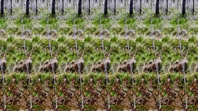 Движущаяся стерео картинка под музыку смотреть онлайн