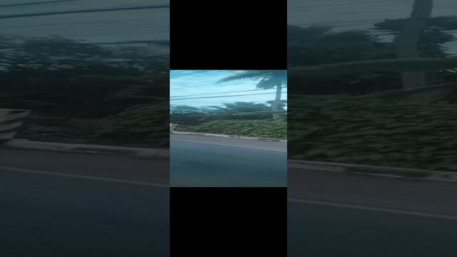 Тайланд. декабрь 2023 г. смотреть онлайн