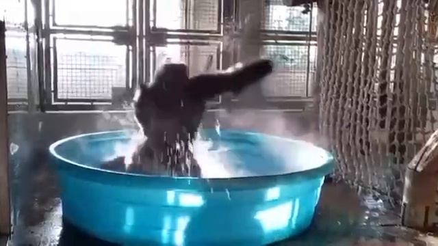 Когда дали свет и воду.MP4 смотреть онлайн