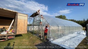 Покрываем плёнкой каркас промышленной теплицы Поспеваево ПРО - Супермодуль 8М