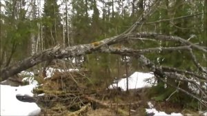 Рыбалка и Охота в Карелии весна.