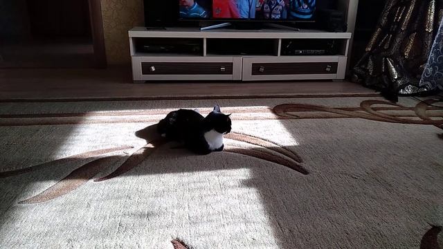 Виллис 1/16. Первый запуск.