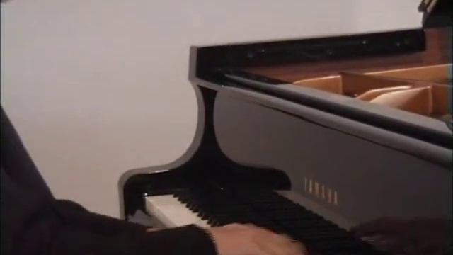 Tchaïkovsky / F. Noack : Swan Lake | Florian Noack, Piano