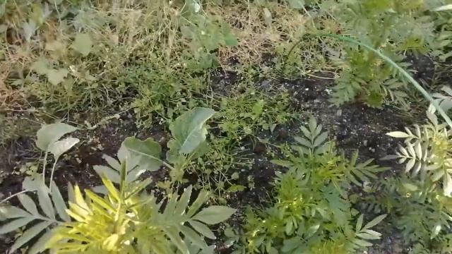 Дача. 15.08.22 смотреть онлайн