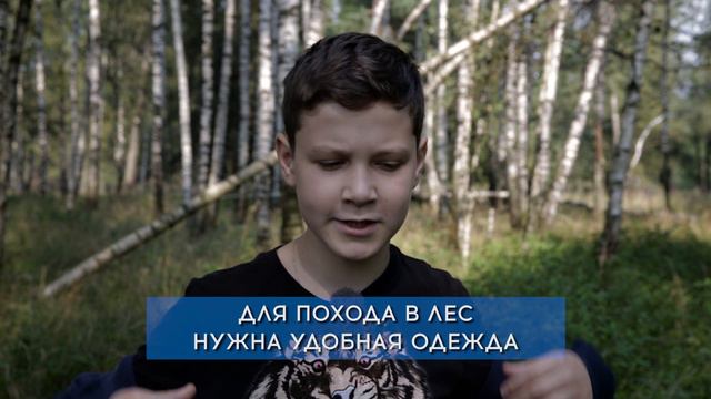 «Что делать если заблудился в лесу?» смотреть онлайн