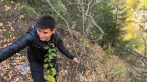 Текели. Съездили посмотреть ГОРЫ.