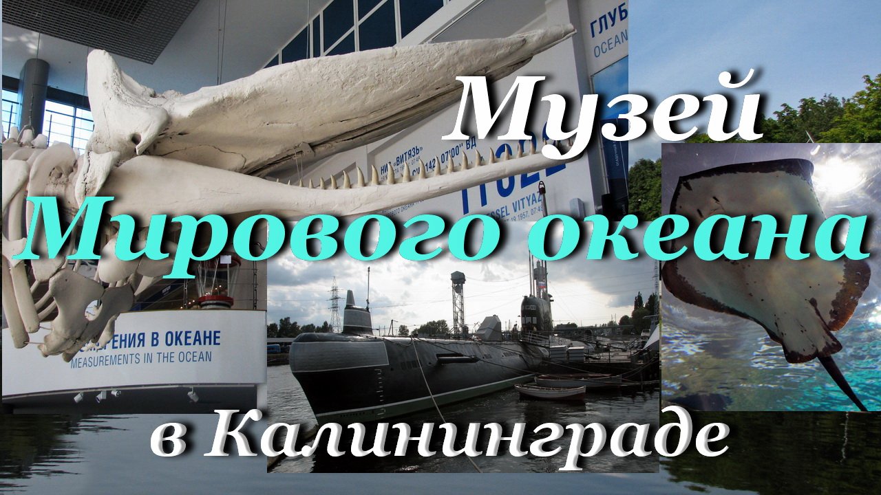 Музей Мирового океана в Калининграде - экскурсия / World Ocean Museum in Kaliningrad смотреть онлайн