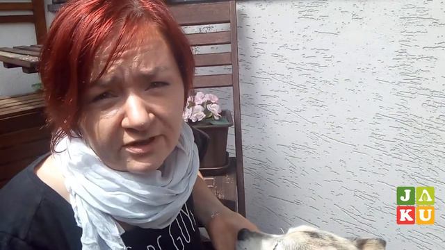 Adoptuj psa ze schroniska смотреть онлайн