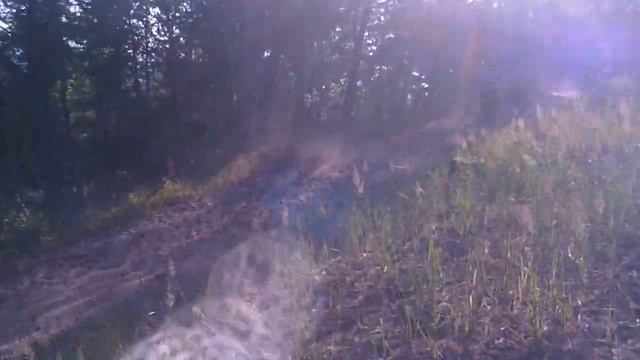 Моховые горы 26.06.16 №3 смотреть онлайн