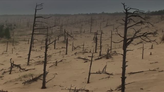 Поморы, Лица России, Pomors，俄羅斯的面孔 смотреть онлайн