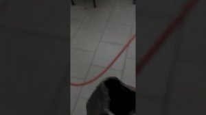 Митсубиси каризма. Замена правого привода.