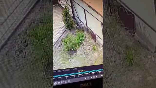 Как выгрузить на флешку видео в регистраторе Falcon Eye смотреть онлайн