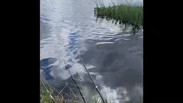 Балда На Рыбалке! смотреть онлайн