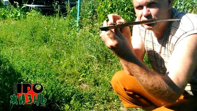 Обзор.Китайский серп. Борьба с сорняками - заготовка мульчи. Серп смотреть онлайн