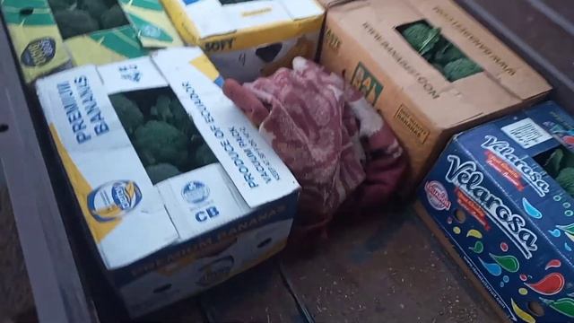 НА РЫНОК ВЕЛИКИЕ КОПАНИ КАПУСТА БРОККОЛИ 14 НОЯБРЯ смотреть онлайн