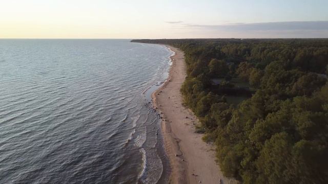 Туя красти (Латвия) смотреть онлайн