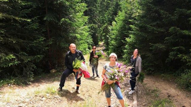 День рождения Галочки 25 смотреть онлайн