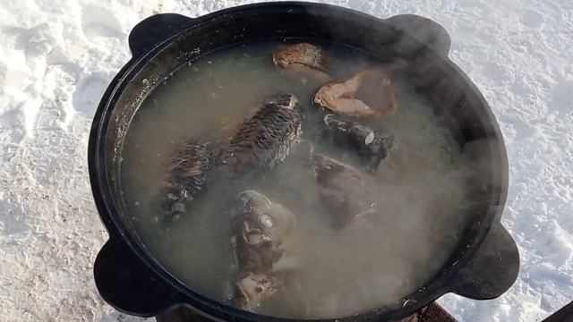 Пополнение в нашем большом хозяйстве!!! Правильная уха! Почему же замерз слив? смотреть онлайн