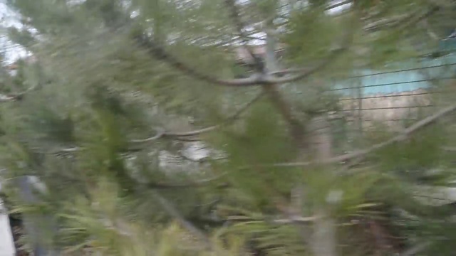 Как кот Рыжик жаловался леопардам Шакире и Топазу что его не любят ! смотреть онлайн