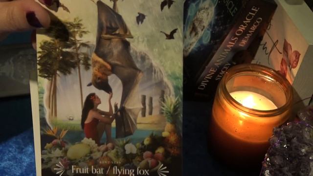 Divine Animals Oracle - Flip Through of Each Card смотреть онлайн