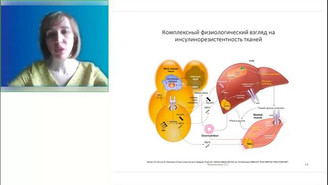 Инсулинорезистентность (часть 1) смотреть онлайн