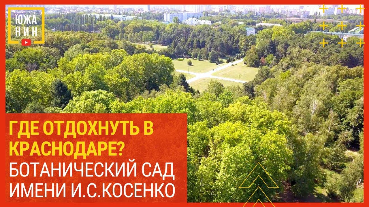 Где отдохнуть в Краснодаре? Ботанический сад имени И С Косенко смотреть онлайн