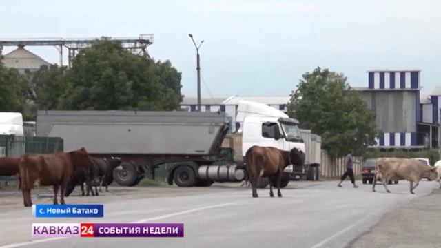Верхний Ларс: какие усилия предпринимаются для разгрузки транспортного коридора смотреть онлайн