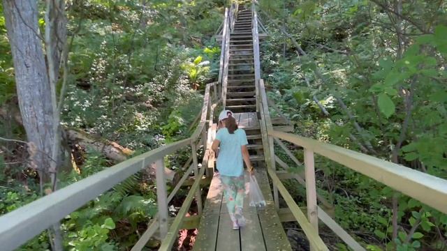 Подглинтовый лес. Пешеходная и учебная тропа Валасте (Ontika, Ida-Virumaa, Estonia) 4K video смотреть онлайн