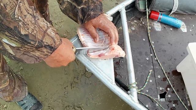 САЗАНЫ гнут удочки и рвут крючки! балык из сазана и язя за один час! рыбалка в Астраханской области смотреть онлайн