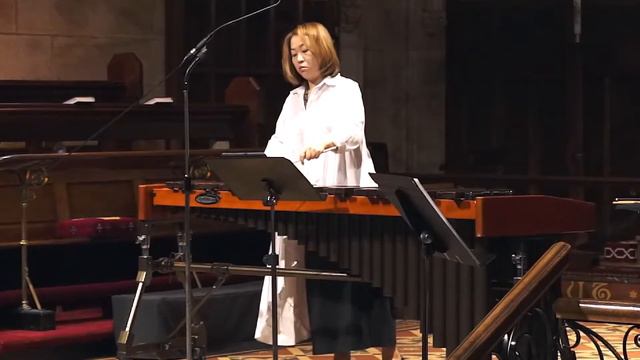 Winter - III. Allegro (from "Four Seasons") - A. L. Vivaldi [신주화 Cover] смотреть онлайн