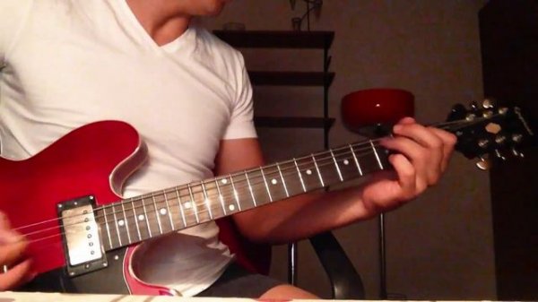 Cat Stevens - Wild World instrumental cover