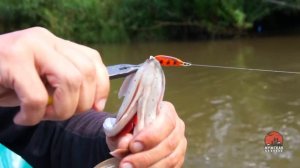 Рыбалка на малых реках летом