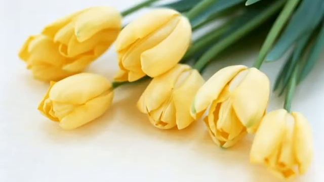 с 8 Марта Dr.Alban.avi смотреть онлайн