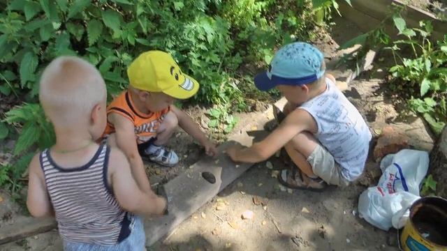 3 июня день яйца. Курица наседка сидит на яйцах. Кальций в ракушках для кур. смотреть онлайн