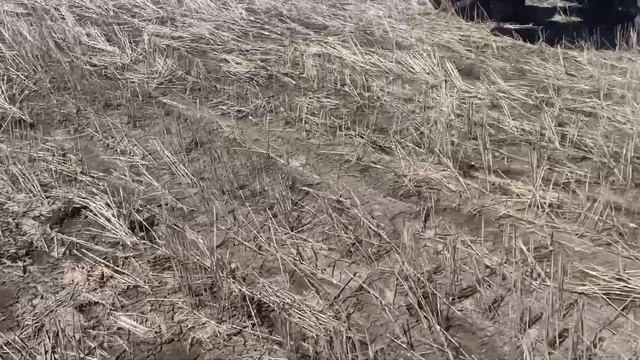 Finished... Just in Time! (Vlog 9) смотреть онлайн