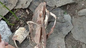 з самых дешёвых способа Замульчировать цветник от сорняков!
