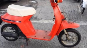 HONDA eve smile