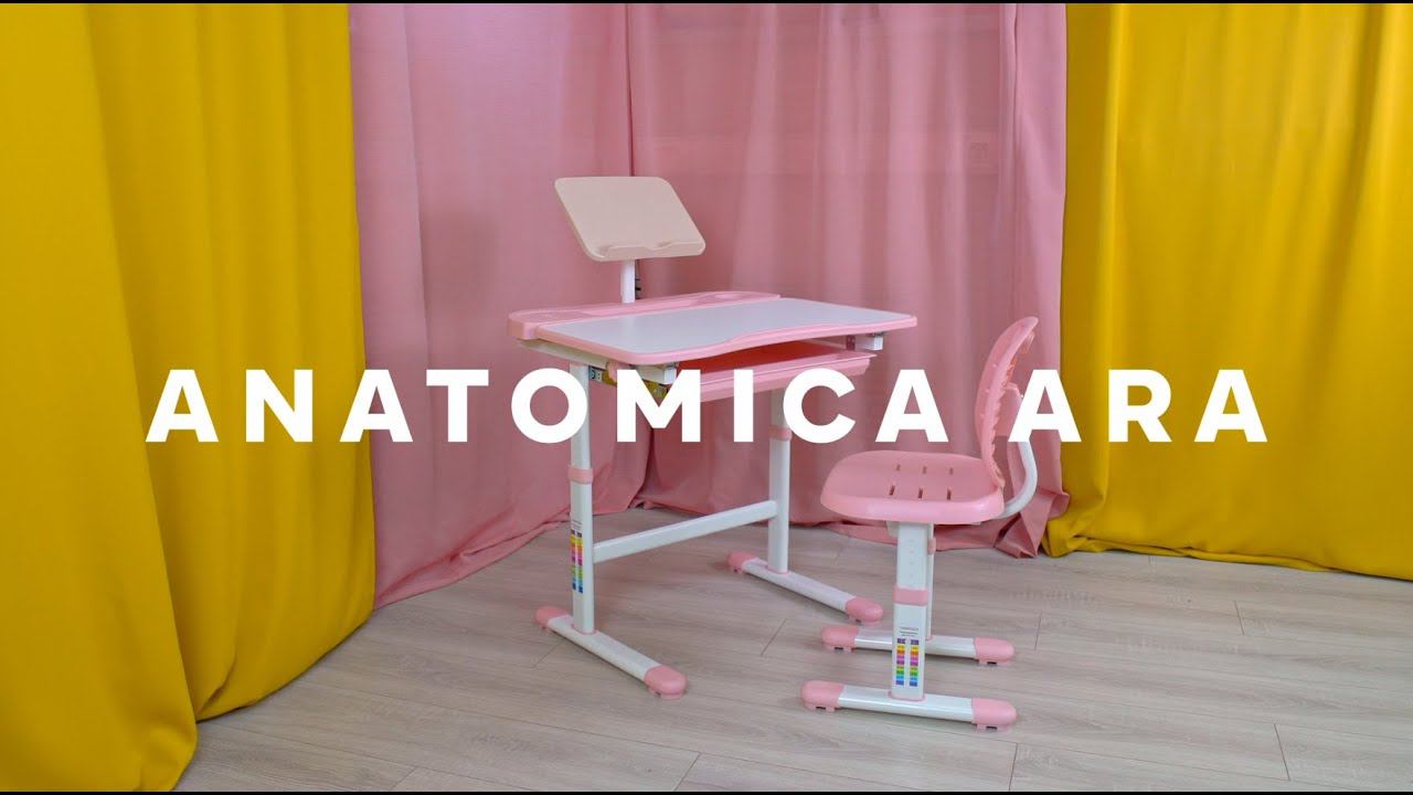 Универсальный комплект Anatomica Ara для начальной школы