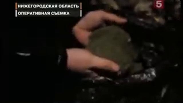 ЗНАТНЫЙ КОНОПЛЕВОД. смотреть онлайн