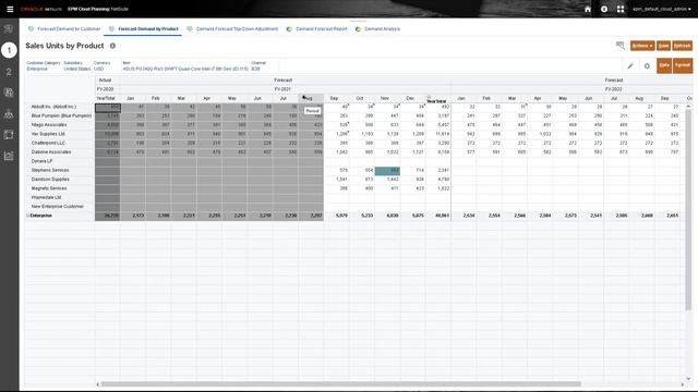 Oracle NetSuite Efficient and Real-time Planning and Budgeting in the Cloud смотреть онлайн