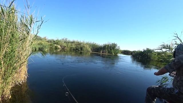 Карась на блесну! Море жереха и куча змееголова! Дельта реки Или смотреть онлайн