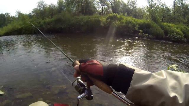 Ловля голавля на речке Ай смотреть онлайн