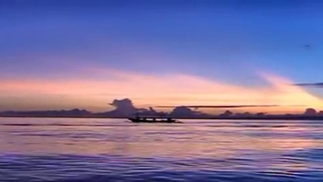 Dolphin Tour Lovina Beach Bali смотреть онлайн