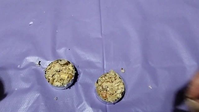 Делаем свечу из ОПИЛОК за копейки. Такая свеча даёт тепло в несколько раз больше, чем обычная. смотреть онлайн