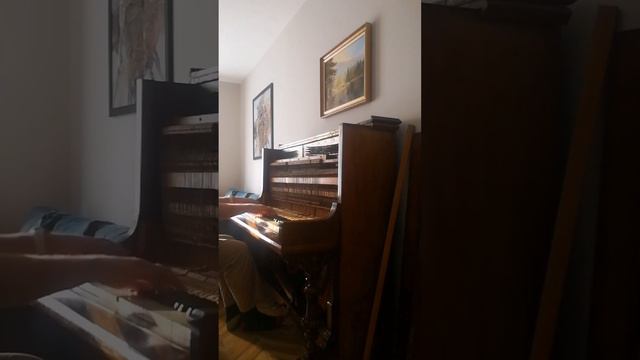 Pianino Ed. Seiler (1888) przed i po strojeniu смотреть онлайн