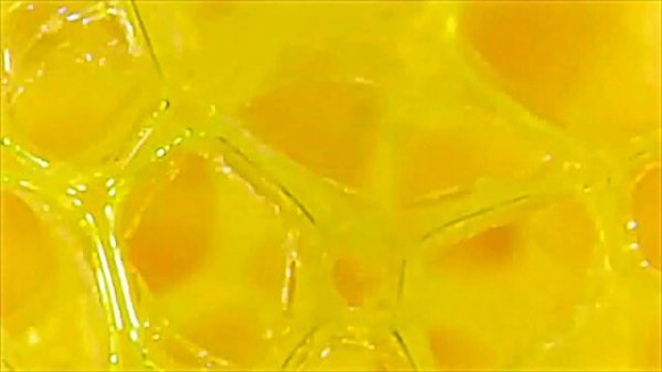 Простые вещи под микроскопом. usb microscope