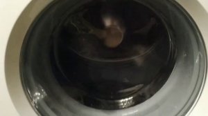 Bosch MAXX 5 Silence Perfect - Cotton 40 small load (washing process)