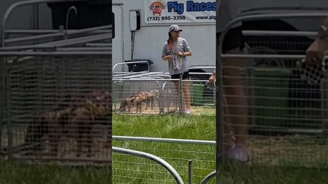 СКАЧКИ ПОРОСЯТ#сша смотреть онлайн