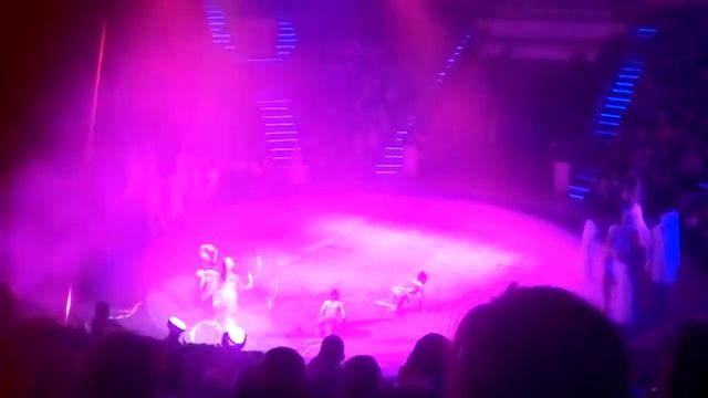 Минский цирк бесплатно смотреть онлайн